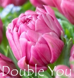 Double You
