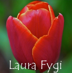 Laura Fygi